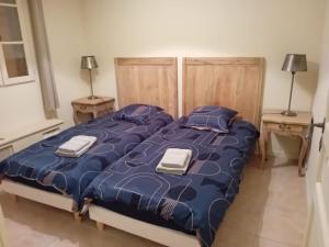 Appartements Cocon au coeur des corbieres : photos des chambres