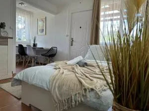 Thermal Garden Vendégház - 蒂萨凯奇凯