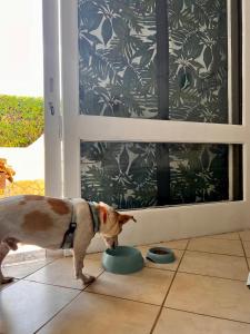 Studio Albufeira Jardim T0