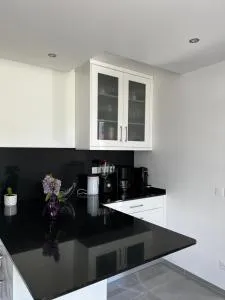 Villa near CDG Paris aeroport - 加尔热莱戈内塞