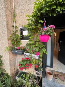 Town house with garden - 1 room with shared bathroom