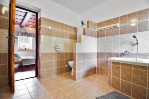 Apartmán Růžák