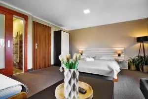 Pension Růžák - Bynovec