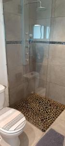 Appartements Studio chocolat : photos des chambres