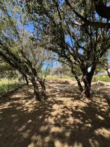 Résidence Casa Cintrone - Porto-Pollo