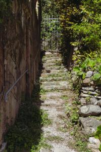 Residenza Nemus Olea Mare e Montagna