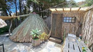 Studio Mazo The Glamping