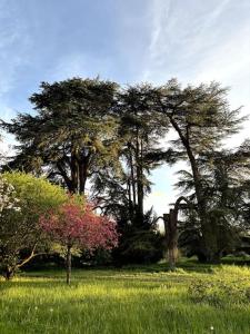 Pavillon des Écureuils au Château Royal de Benays