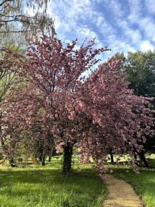 Pavillon des Écureuils au Château Royal de Benays
