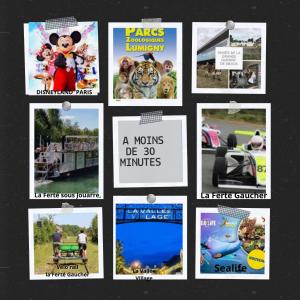 LAncienne Vannerie, Disney,Parrot