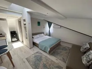 La Casa Verde - Zamora