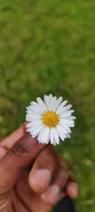 Furzehills Twin Lakes Camping and Caravaning site - Edlington