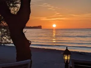 Dolphin Apt & Studios -Next to the Beach - Sfakerá