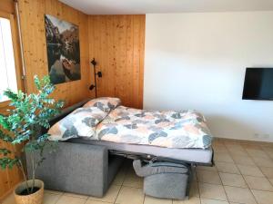 2,5 Plein Sud avec terrasse