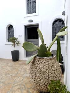 The Tefra Villa by A Terre Cave Villas