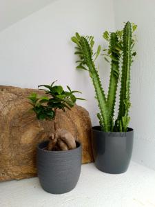 The Tefra Villa by A Terre Cave Villas