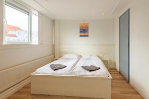 Zon Modern beach house