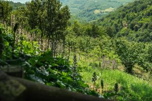 ghigorotto, suite&villa