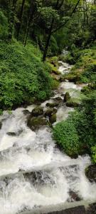 PALMAJUA ARIVIK HOMESTAY