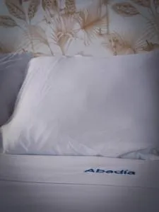 Apartamentos Abadía. - Corella