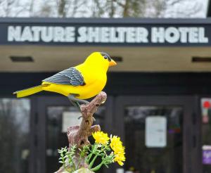 Nature Shelter Hotel