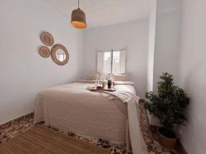 Casa Barman Casco Antiguo Y Vistas Al Mar