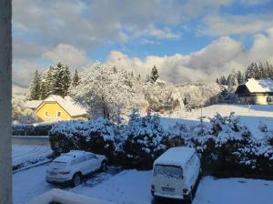 Alpenblick Apartment