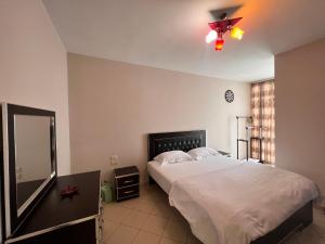 Tirana modern one bedroom Apartment