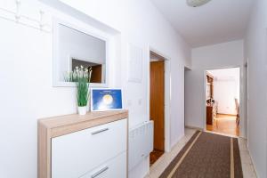 Apartment Srecko