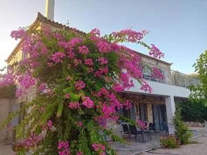 Sofia's summer house - Vasilítsion