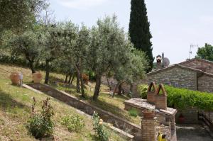 Casa Vacanze Assisi Il Borghettaccio