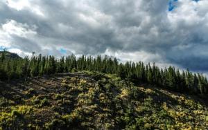 Chalet Campestre la Peseta