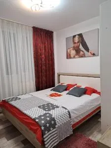 Ali Relax Home Apartment - Tîrgu Frumos