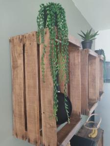 Appt bord de mer rez de jardin