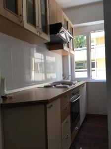 'One tree' Apartment, Old town Zadar 