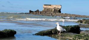 Campings CHEZ ISA - Mobil home 2 ch - vue direct sur mer : photos des chambres