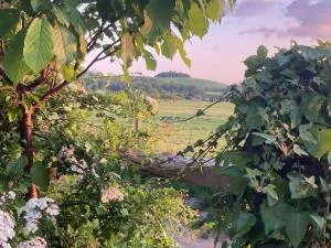 The Nest BnB 'mini suite' - 泰晤士河畔的多切斯特