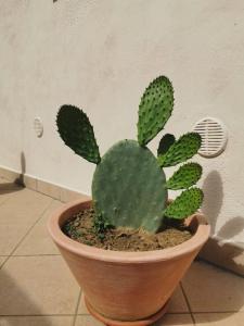 Intera casa appena ristrutturata