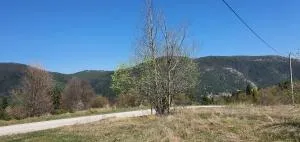 Zlatiborska brvnara Mountain House Reba - Dobroselica