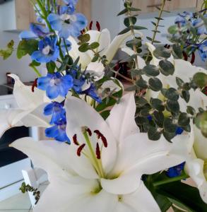 Appartements Le createur - Au coeur de la Ville Haute : photos des chambres