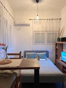 Bulevar apartment No1