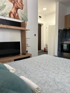 Bulevar apartment No1