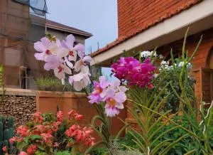 Orchid Gardens; Studio Apartment, minimalist - Mengo