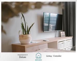 DEPARTAMENTO BENJAMIN