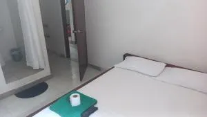 Hotel primaveral - Quibdó