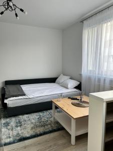 Apartament 500 metrów od zamku