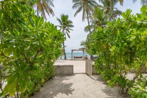 Veli Vilaa Dhiffushi - Beachfront