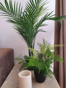 Modern apartment a few minutes to the center - TriP