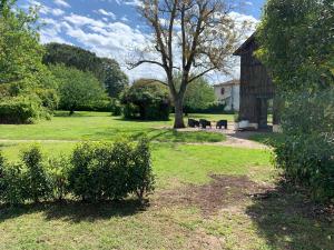 Maisons de vacances Les Sechoirs : photos des chambres