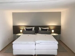 Altstadt Apartment Altes Amtshaus - Engen